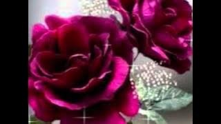 Grupo Vuelo - Gracias Amor