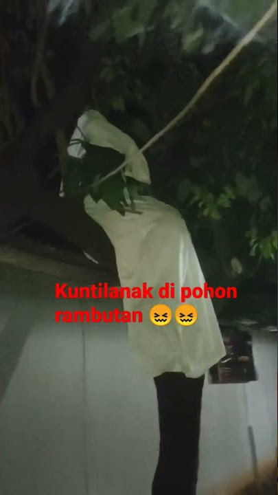 kuntilanak di pohon rambutan😖😖#komedibintaro #subscribe #like #komentarnya.