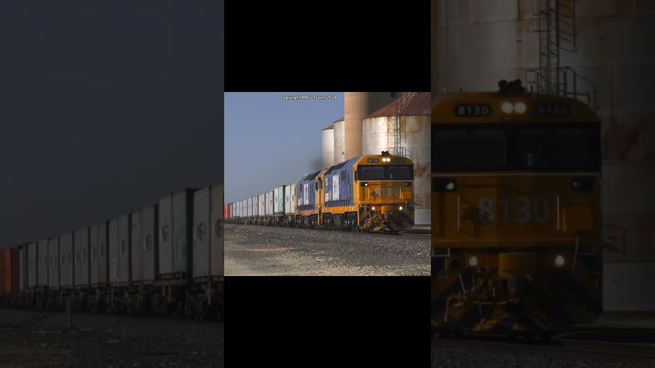 FRUIT FLYER CONTAINER TRAIN WITH TWIN 81's 