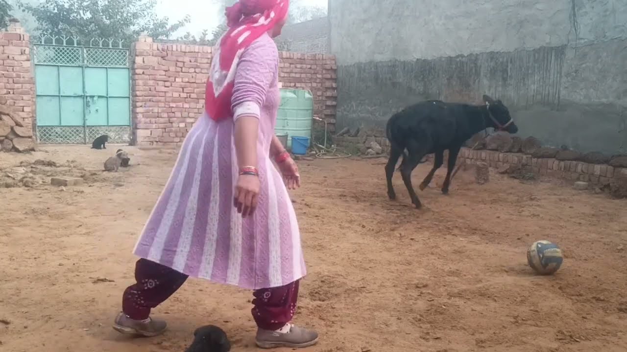 Masoom puppy 💞 natkhat Lakshmi Ne khaya bacchon ka khana 💞  Chanchal Lakshmi 