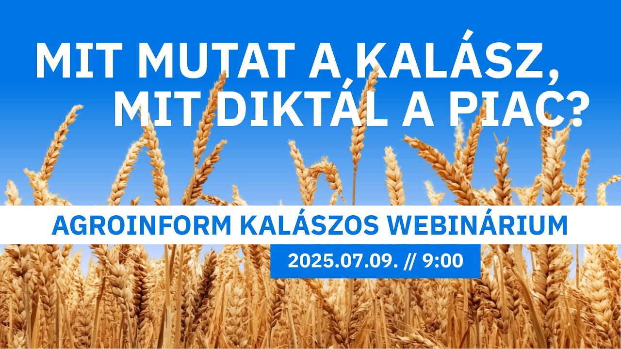 Mit mutat a kalász? Mit diktál a piac? – Agroinform webinárium - YouTube