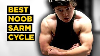 BEST Beginner SARM Cycle