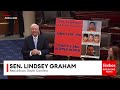 'Our Democratic Colleagues Have Lost Their Way': Lindsey Graham Defends ICE, CBP Reconciliation Bill