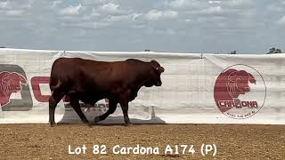 Full LOT 82:- CARDONA A174 (P) Update