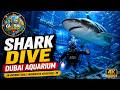 🦈 Shark Dive Dubai Aquarium | Swimming with Sharks in Dubai! 😱 | 4K UHD #dubai #dubaiaquarium