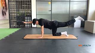 127   4 point kneeling superman without resistance band