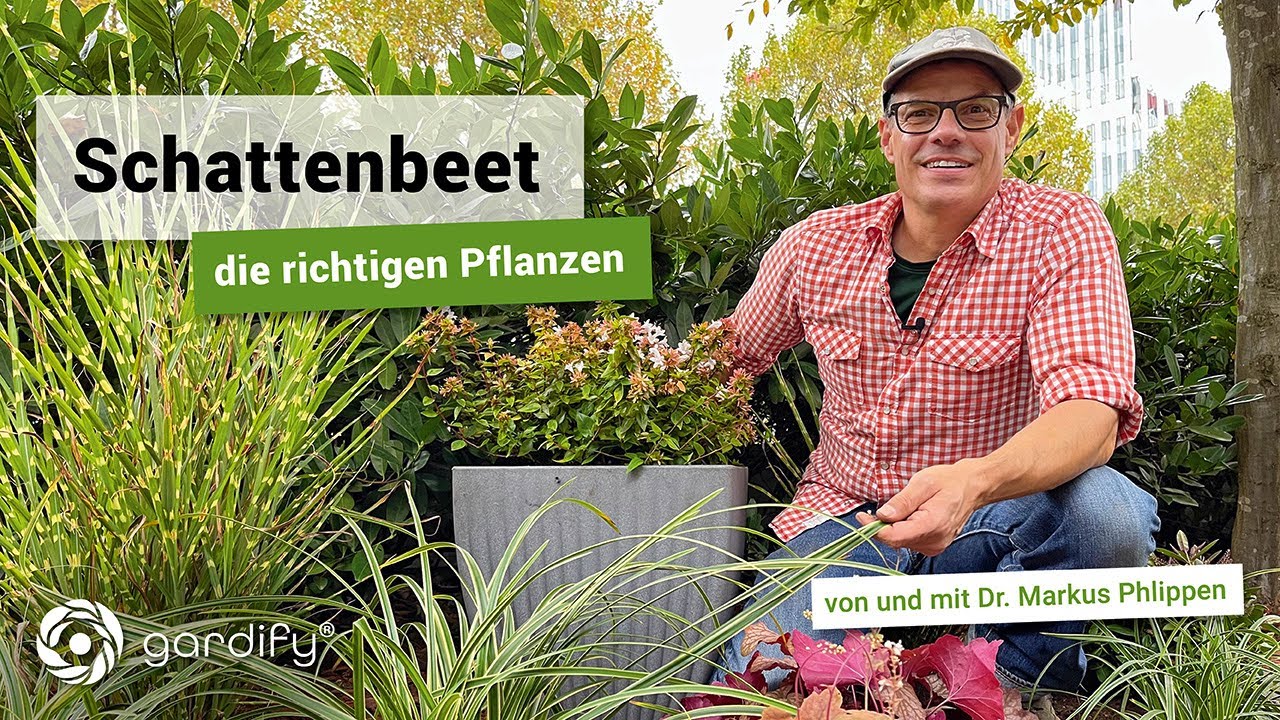 Planting tips for dry shade beds with Miriam Lange | gardify tips