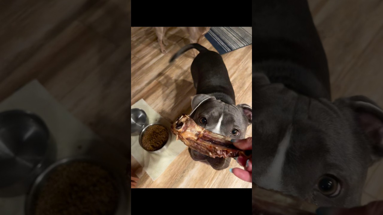 He was so happy 😭 ​⁠