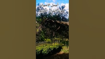 قران كريم🌹🤲😘 بصوت جميل للشيخ فارس عباد #المصحف #راحة_نفسية #تصويري#ترند #لايك #قرآن_كريم #اكسبلور