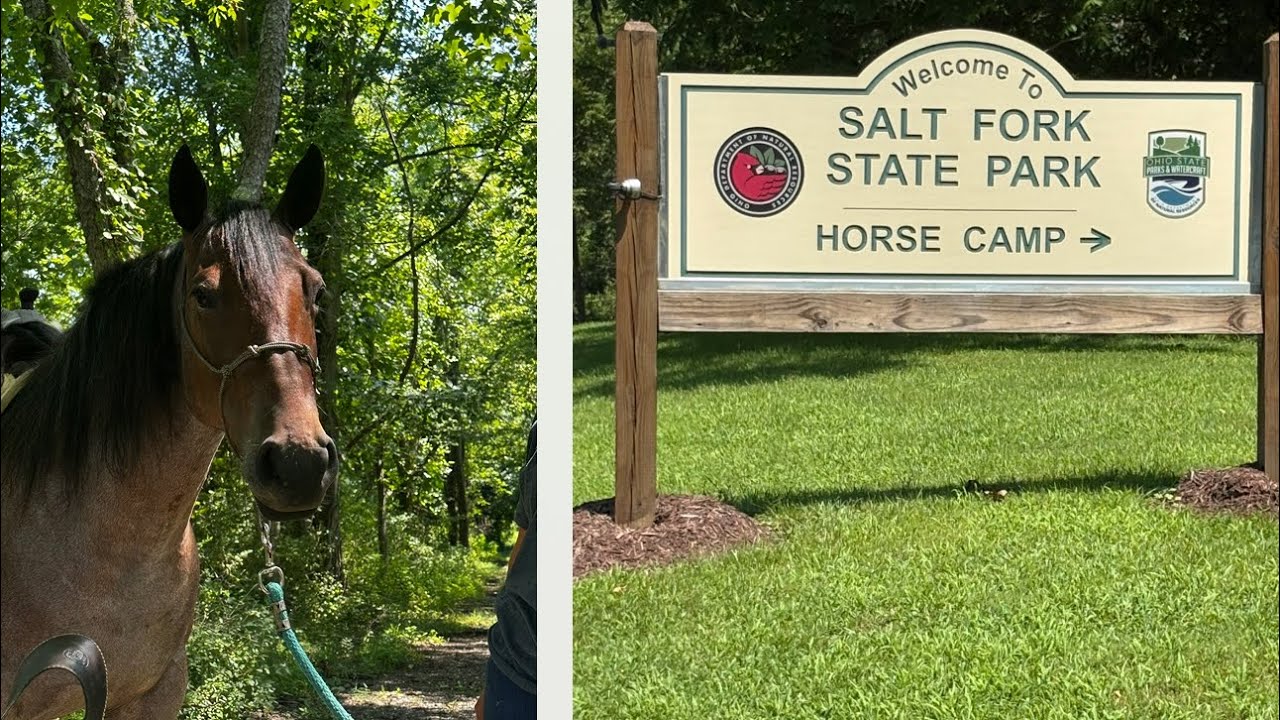 Horseback riding at Salt Fork State Park - Lore City, Ohio