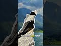 Rahasia Gunung Api di Danau Toba #DanauToba #GunungToba #FaktaIndonesia #LoHarusTau #Supervolcano