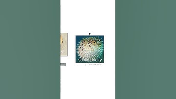 Which one is your favorite?🐟🦈 visualize your aqua animals, and anything else, with #Lucidchart !