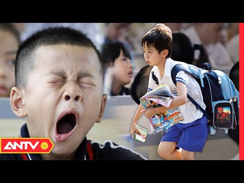 Video Học vượt lớp, vượt cấp 