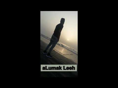     2019 الومك ليه