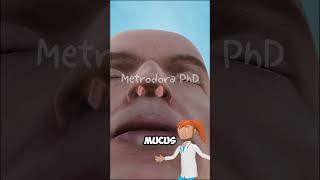 Why Does Your Nose Get Stuffy?