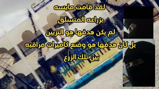 مدرسه الخنساء في رداع تتعرض للخطر والسبب المديره سمعها