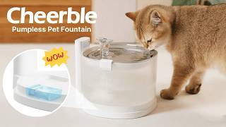Tiny Paw Boutique - Cheerble Pet Fountain β The Smartest Way to Keep Your Pets Hydrated! πΎπ§ #Shorts