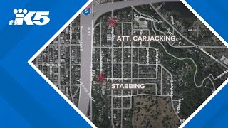 Seattle police looking for two carjacking suspects