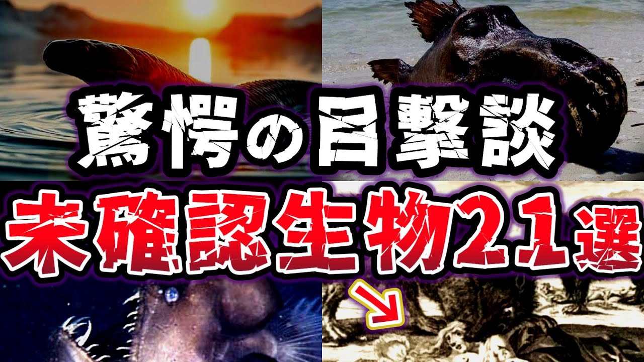 【総集編】伝説と目撃談が交差する!! ミステリアスな未確認生物UMA21選【ゆっくり解説】