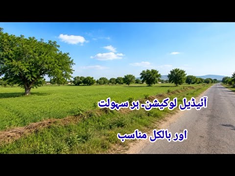  خوبصورت زرعی زمین برائے فروخت پنجاب  روڈ فرنٹ| فارم ہاؤس، ڈیری فارم اور انویسٹمنٹ کیلئے بہترین موقع