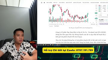 NOVALAND NVL bị tranh tra  Liệu cổ phiếu giảm mạnh hay phục hồi tiếp