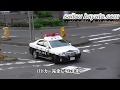 パトカーが目の前に居ても後には引けないからそのまま違反して捕まっちゃうダイハツ・ミライース検挙の瞬間!パトカーが完全にキレます・・・