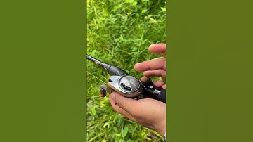 Kinh nghiệm câu máy ngang của mình