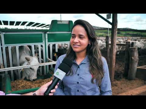 O QUE SE SABE DO MAIOR CENTRO DE EXPERIMENTOS DE BOI CONFINADO DA AMÉRICA LATINA