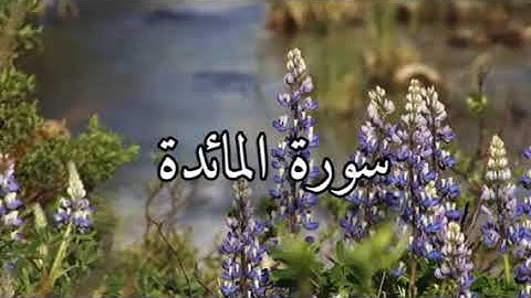 تلاوة خاشعة تريح النفس لى سورة المائدة بصوت القارئ أحمد العجمي  منظر طبيعي يريح الأعصاب تلاوة خاشعة