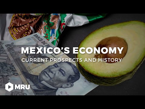 The Mexican Miracle? The Lead-Up to the Tequila Crisis