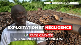 Entretien Exclusif : À qui profite L'Exploitation de l’Agriculture africaine ?