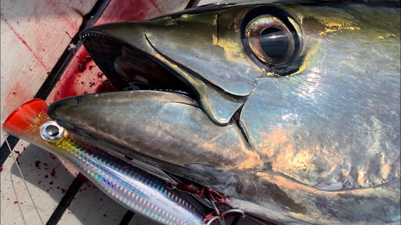 INCREDIBLE NJ Yellowfin Tuna Fishing + Trip Giveaway Winner YouTube