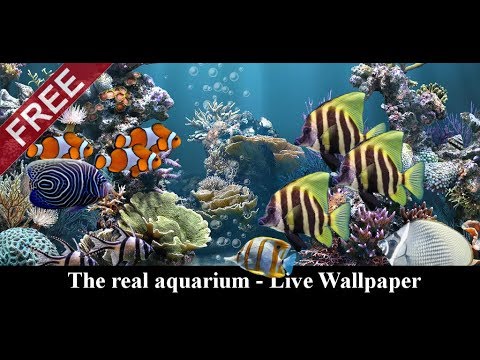 Le véritable aquarium -