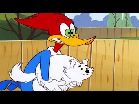 Woody Woodpecker Show | K-9 Woody | Full Episode | Cartoons For Children