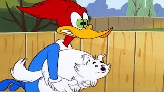 Woody Woodpecker Show | K9 Woody | Full Episode | Cartoons For Children