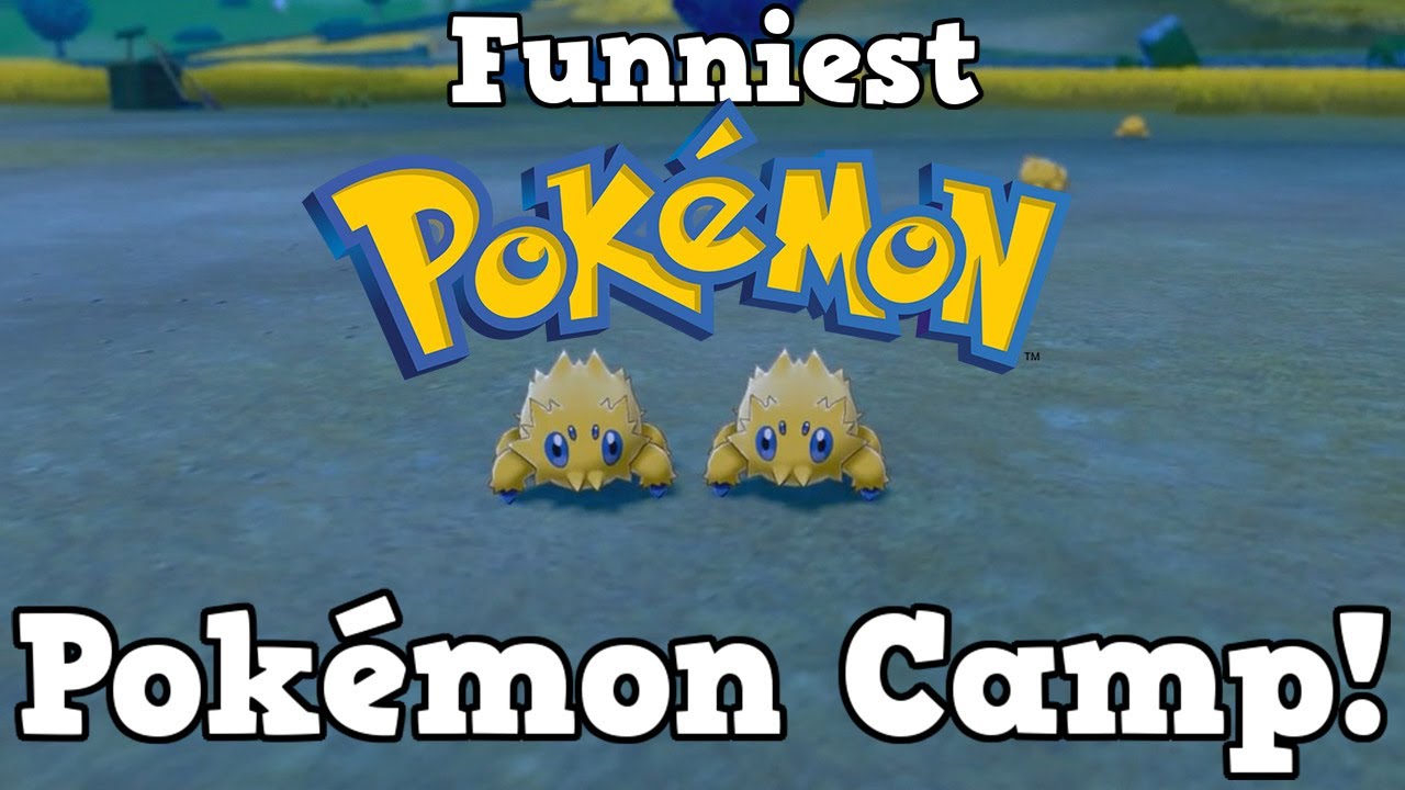 Funniest Pokemon in Pokemon Camp! - Pokemon Sword and Shield