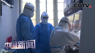 [中国新闻] 中国专家组助力缅甸提高检测能力 | 新冠肺炎疫情报道