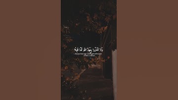 #سورة_النحل #عبدالرحمن_مسعد #short #راحة_نفسية