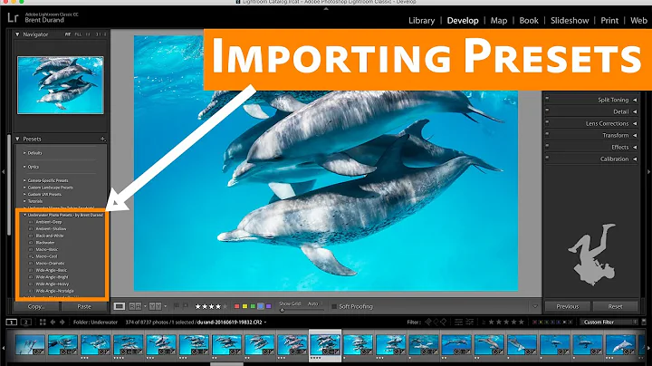 How to Import Lightroom Presets - DayDayNews