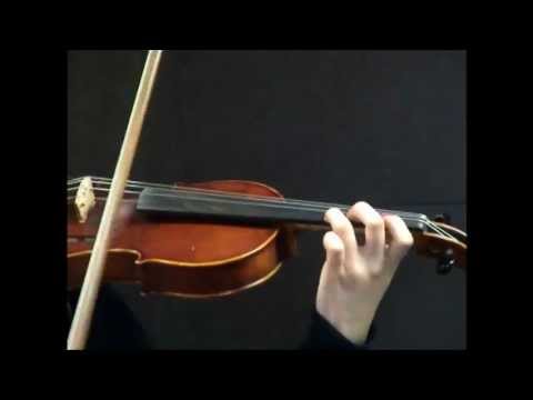 Violin Concerto Vivaldi A minor 1st mov.