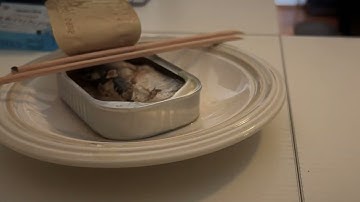 [TIN FISH REVIEW #5] Trader Joe