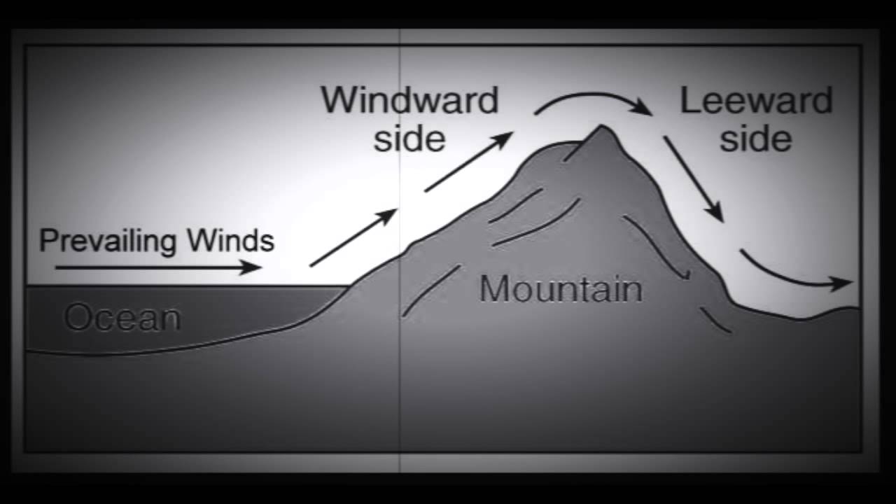 Science Leeward and Windward CJ Studios - YouTube