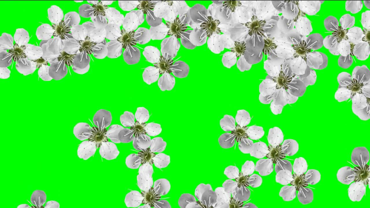 Футаж карта россии для монтажа видео