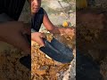 Mining for gold in small, rocky and sandy rivers | Gold prospecting | Panning for gold | Gold hunter