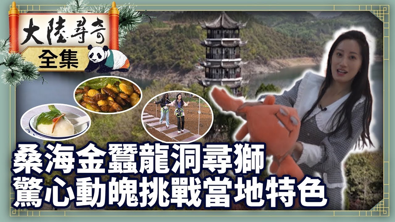 《完整版》桑海金蠶龍洞尋獅 驚心動魄挑戰當地特色【‪‪‪‪‪‪@大陸尋奇EP2091】#大陸尋奇 #陝西 #安康 #安康博物館 #毛絨 #文創 #高空挑戰 #蠶蛹 #瀛湖 #獅王