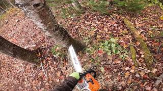 COMMON MISTAKES in bore cutting with chainsaw READ DESCRIPTION