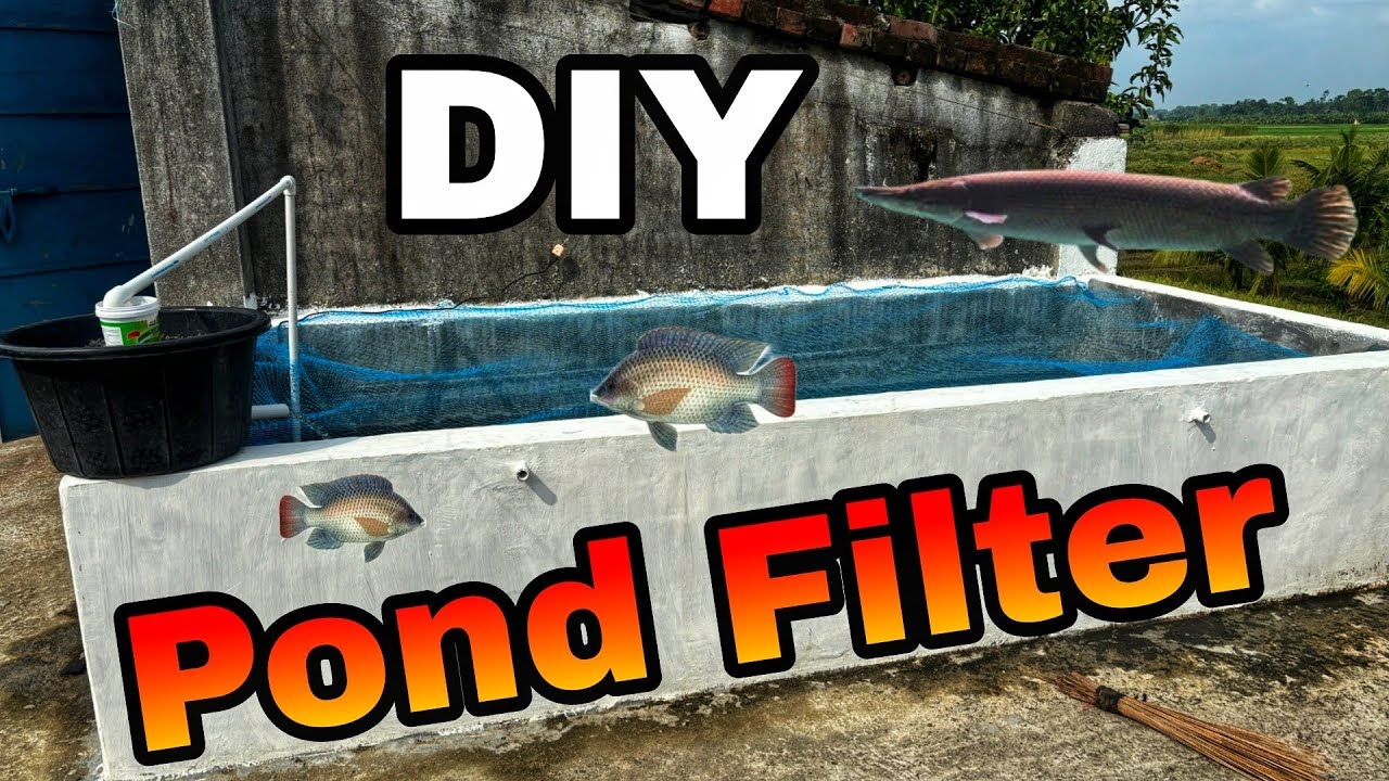 How to Make a Powerful DIY Pond Filter(Easy & Cheap!)