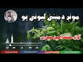 New Tarana Mung Da Meeny Lewani Yo Muhammad Amin Haidri مونږ دمینی لیونی یو محمدآمین حیدری 