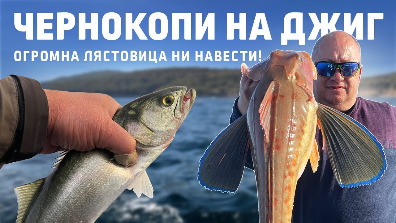 ЧЕРНОКОПИ на джиг / Огромна лястовица ни навести...