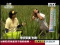 村家味 蘆薈蕾絲麵-南瓜(600g/盒) product youtube thumbnail